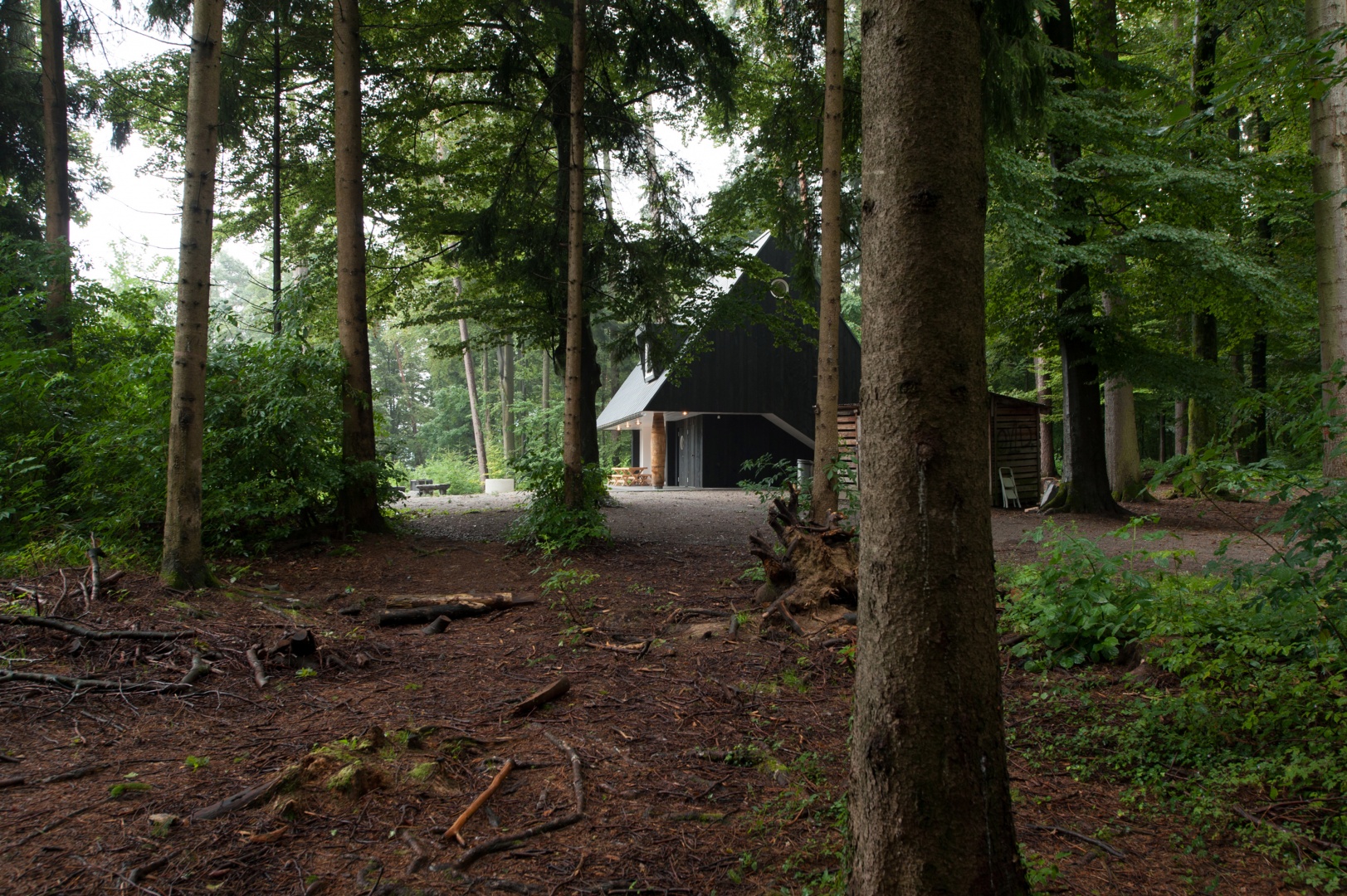 Forsthaus Chopfholz Schweizer Baudoentation Situation Waldlichtung Felix Aeberli Fotograf
